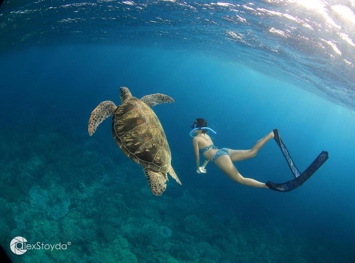 Mahi Mahi Dive Resort Zamboanguita  Экстерьер фото
