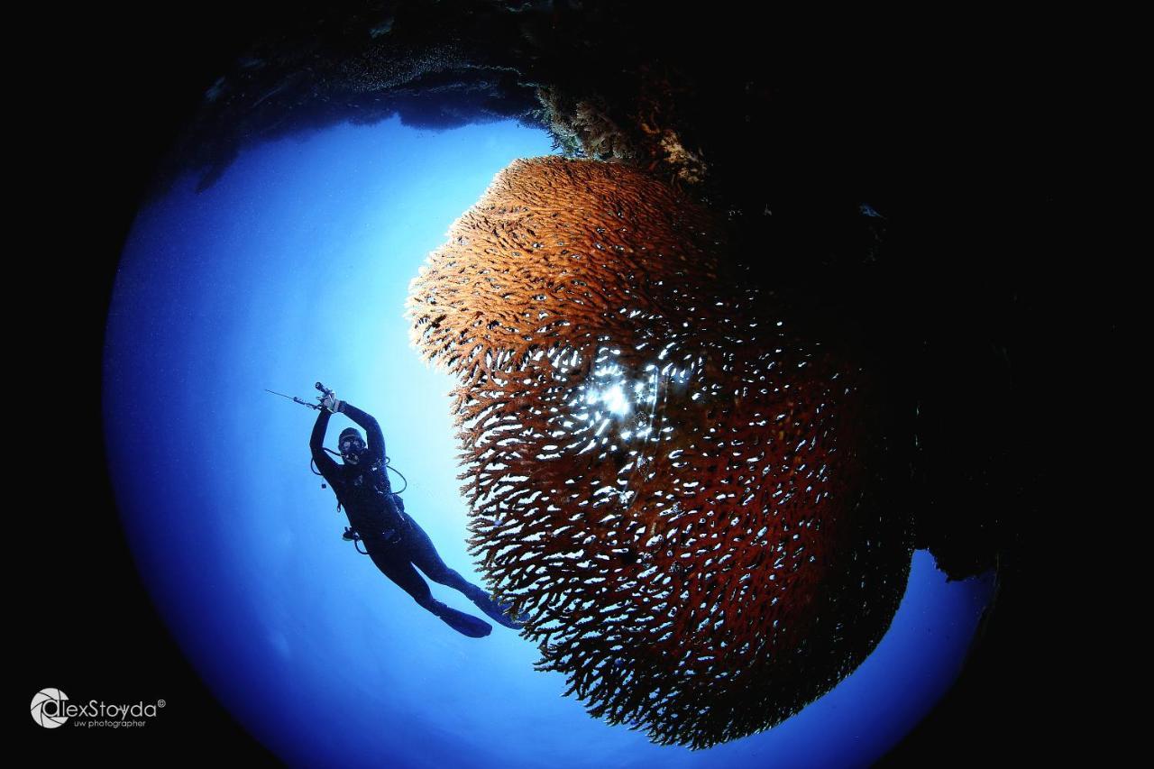 Mahi Mahi Dive Resort Zamboanguita  Экстерьер фото