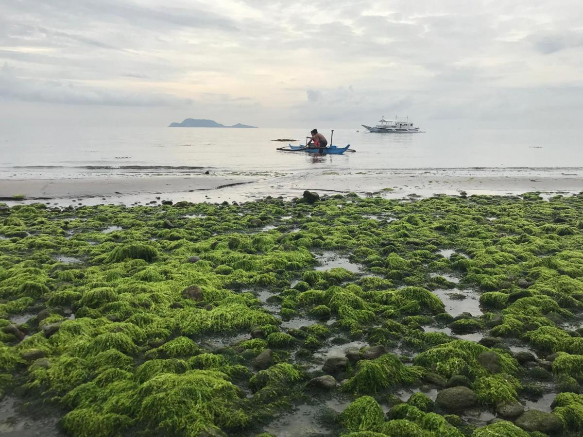 Mahi Mahi Dive Resort Zamboanguita  Экстерьер фото